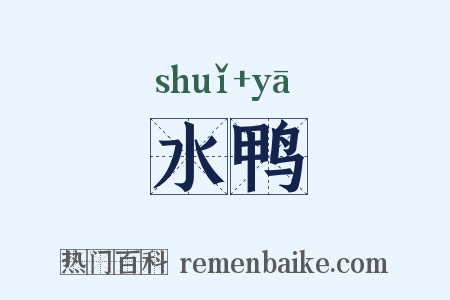 水鸭是什么意思的图片
